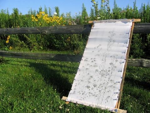 Plain Air Painting